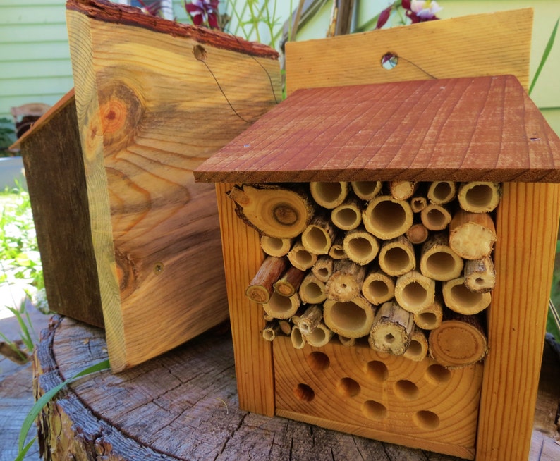 Mason Bee House Simple | Etsy
