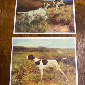 May include: Two vintage illustrations of hunting dogs. The top image shows two white and black dogs running through tall grass. The bottom image shows a white and brown dog standing in a field. The text "634 THE CHAMPION" is printed below the bottom image.