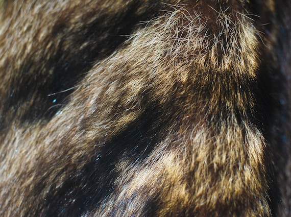 Vintage 1960’s Genuine Raccoon Fur Coat. Size Med… - image 7