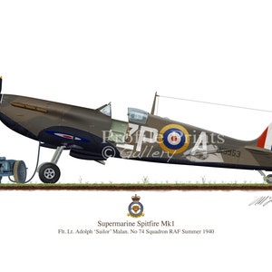 Supermarine Spitfire Aircraft A4 A5 Al Deere  Profile Art  Print WW2 