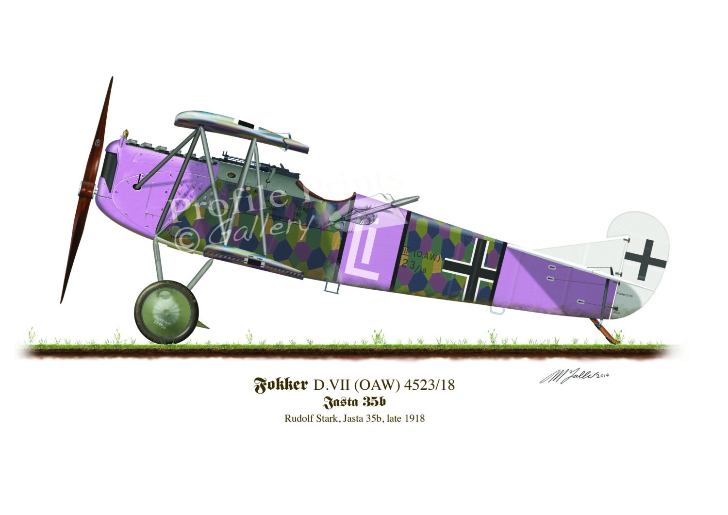 Fokker D.VII 1918 Vintage Aircraft Profile Artwork, A3 Print