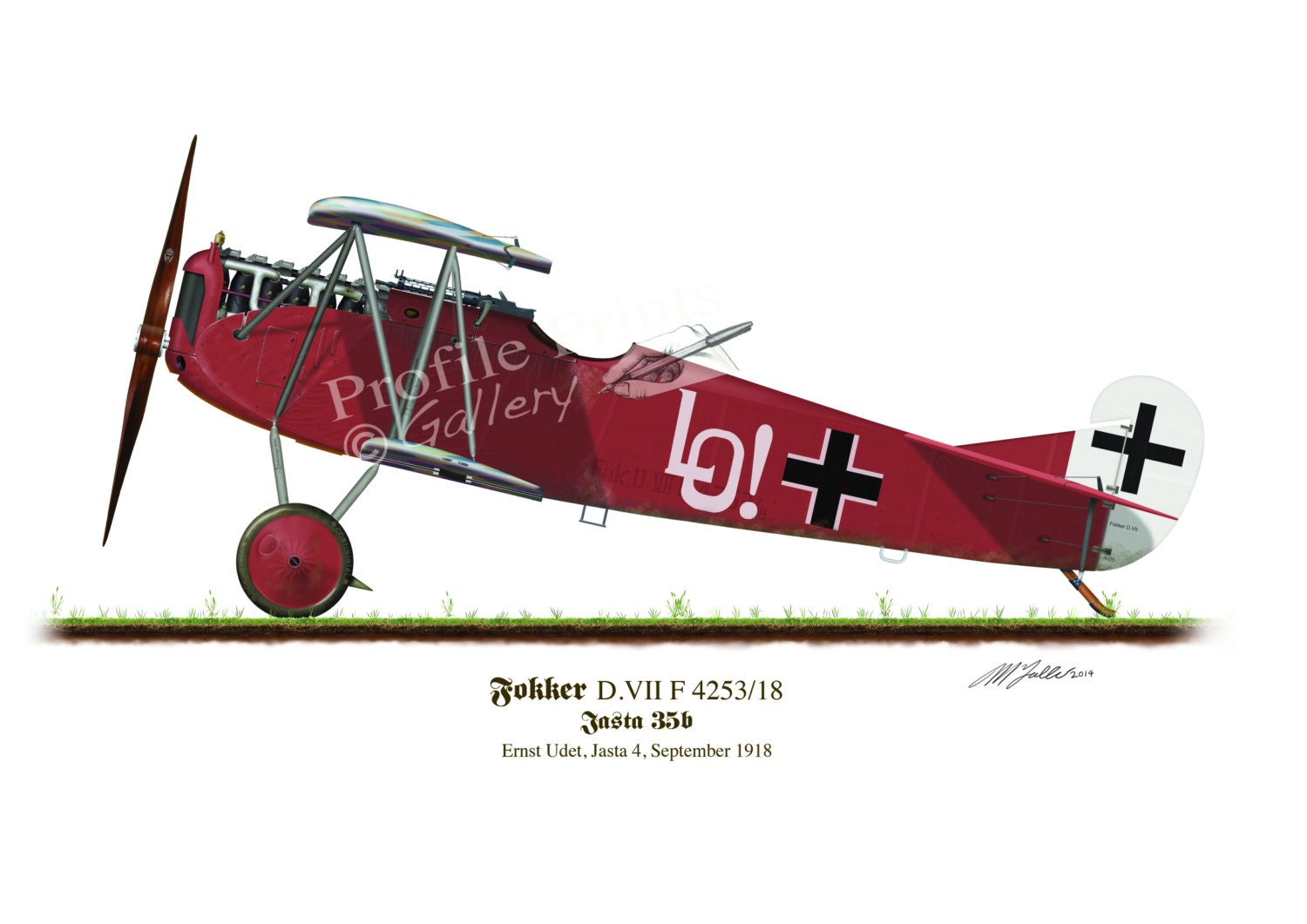 Fokker D.VII Aircraft Print: WW1 German Biplane, Ernst Udet - A3