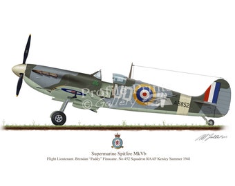 Impresión del avión Supermarine Spitfire: Avión de la RAF de Paddy Finucane de 1941 (A5/A4)