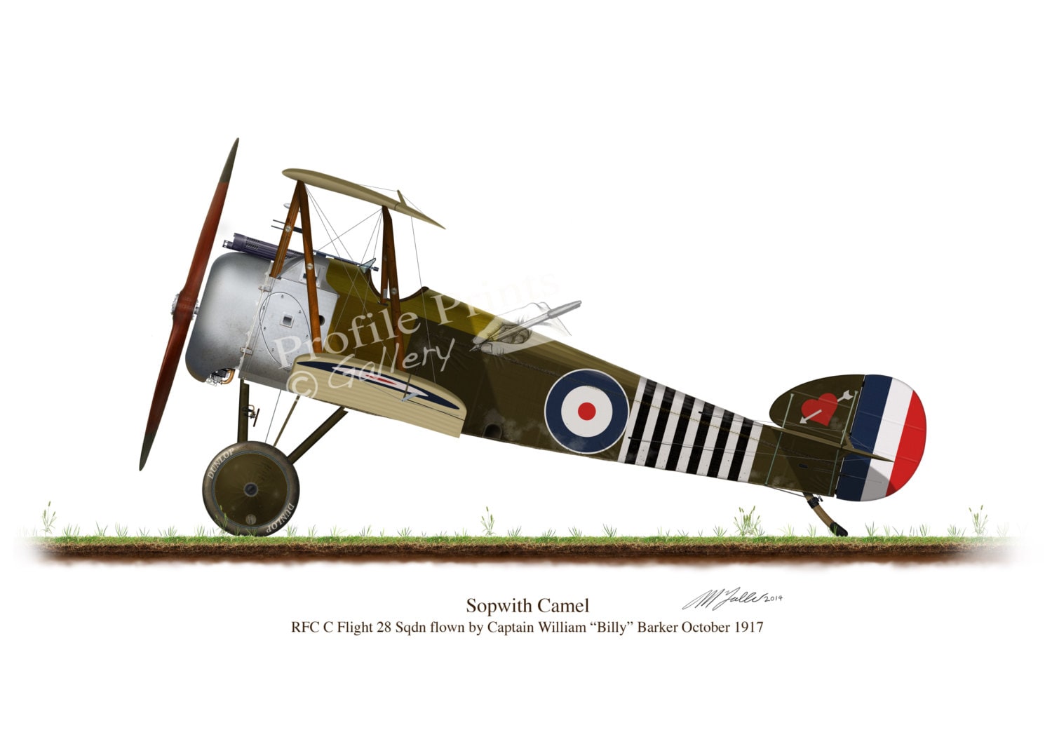 Amazon.co.jp: 1/48 Sopwith Camel F.1 Wilfrid May April 21