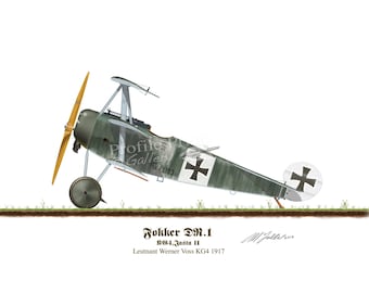 Fokker DR1 Print: Werner Voss Vintage German Aircraft, WWI Aviation Art (A4/A5)