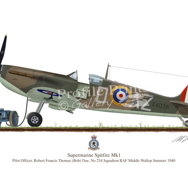 Supermarine Spitfire Vintage Aircraft 1940  Bob Doe Profile Artwork, A5 / A4 Glossy Print of Second World British war airplane