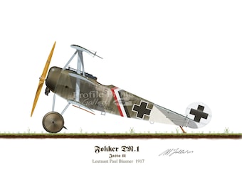 Fokker DR1 Aircraft Print: Paul Baumer's WWI Triplane (A5/A4)