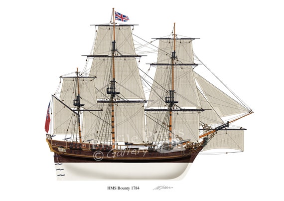 HMS Bounty 1784 Print: British Sailing Ship Profile Artwork Bligh