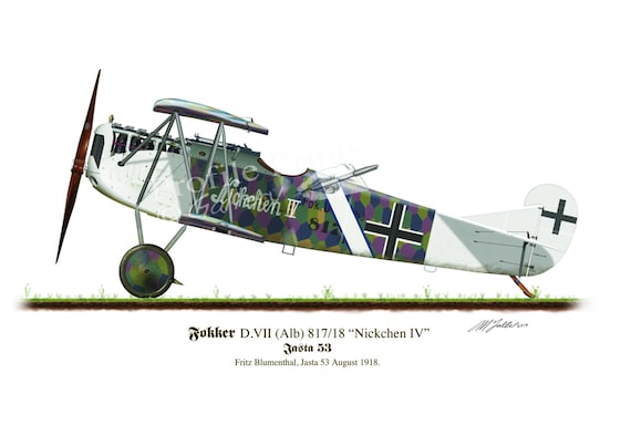 Fokker D.VII Aircraft Print: Fritz Blumenthal. WW1 German Airplane
