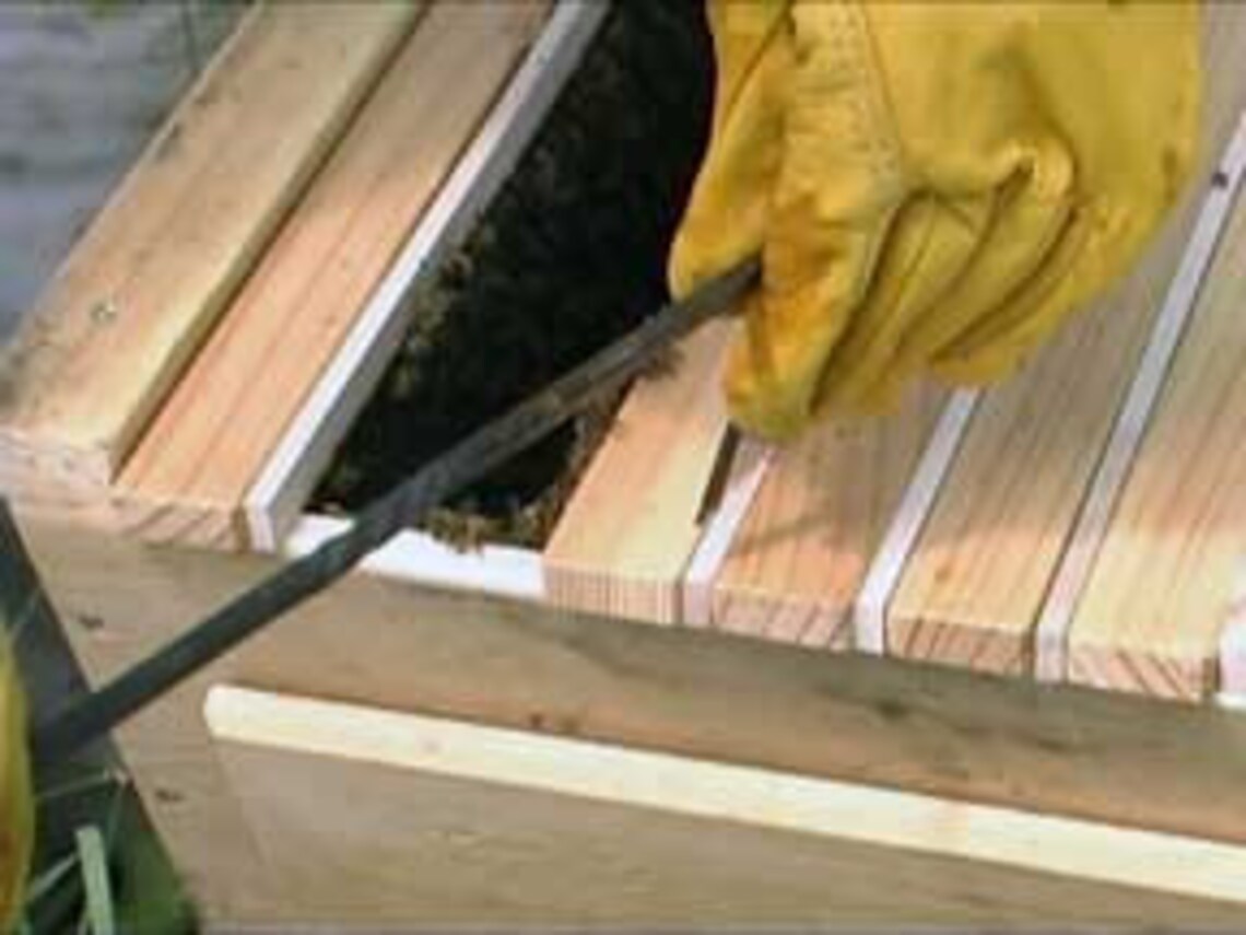 Top Bar Hive Tool Collection by Backyardhive Etsy