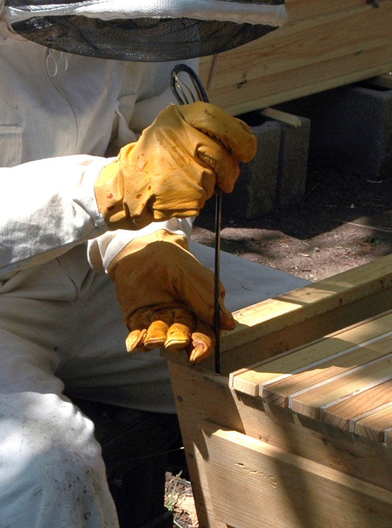 Top Bar Hive Tool Collection by Backyardhive Etsy