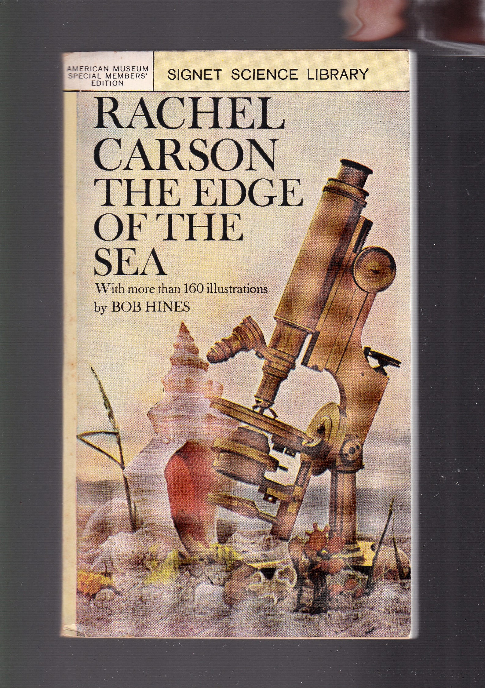 Rachel Carsons The Edge Of The Sea. 1955 9th Etsy