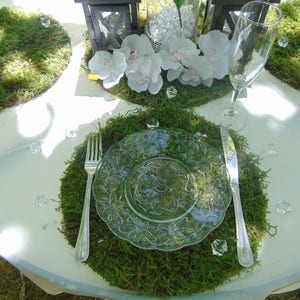 Round moss placemats 10- 14" plate chargers serveware couture events earthy theme birthday table moss charger table placemat linen placemat