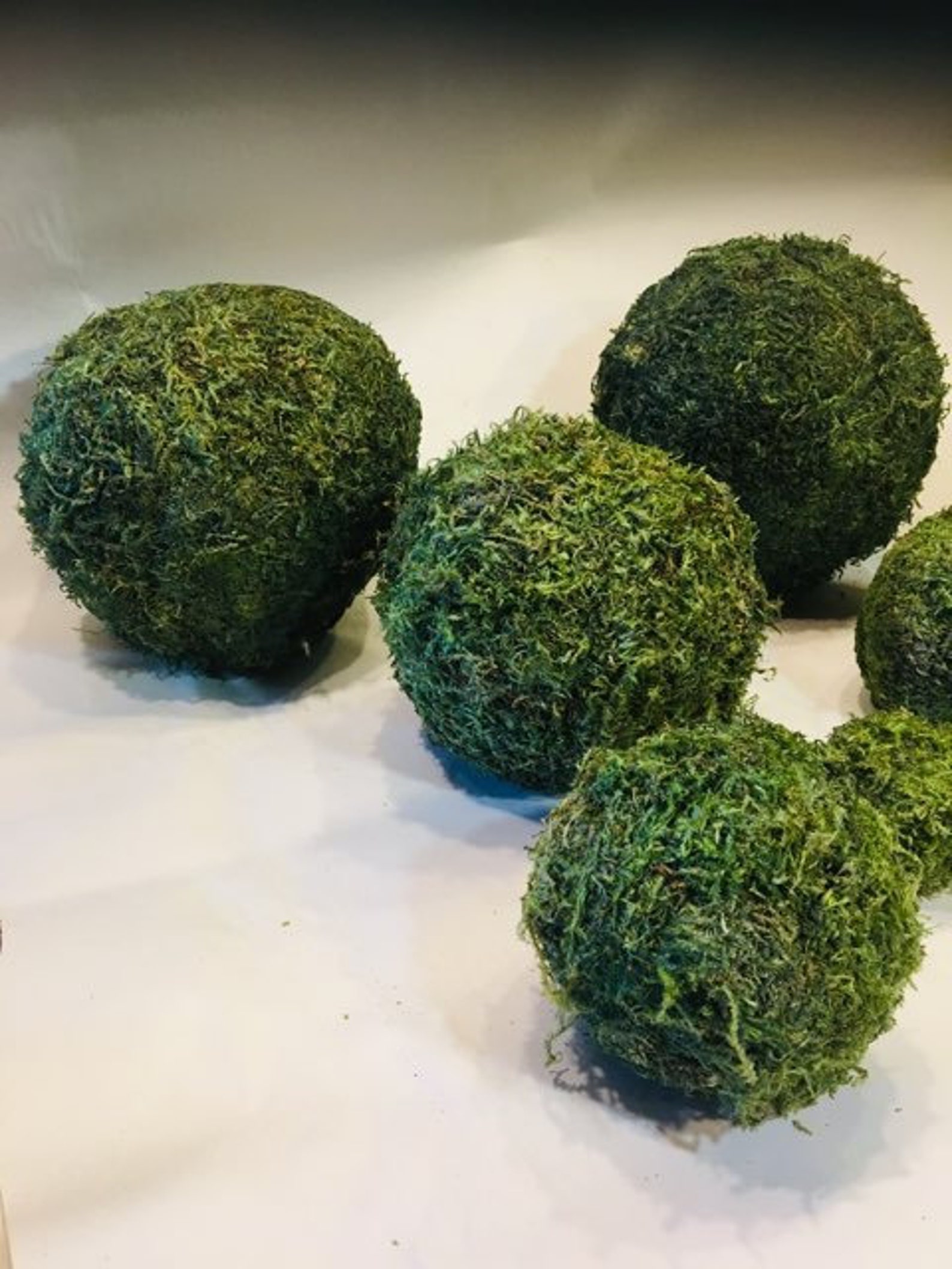 Moss Balls moss ball preserved moss ball decorative moss balls Etsy