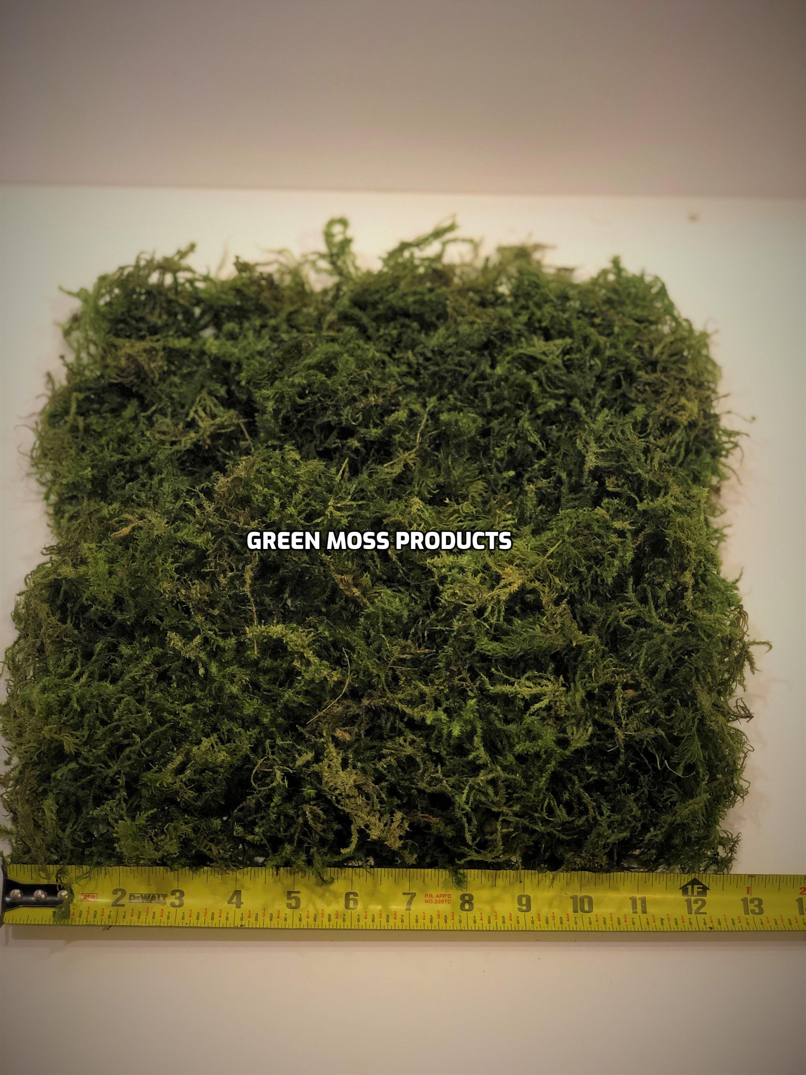 Preserved Moss 10 Sq.ft. Real Moss Floral Moss Green Bulk Moss Etsy