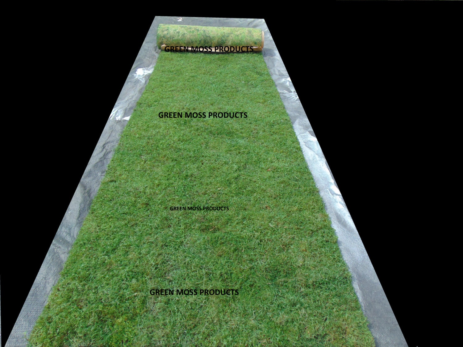 14x48 Green Preserved Moss Table Runner with Fishnet Grid – eHomemart