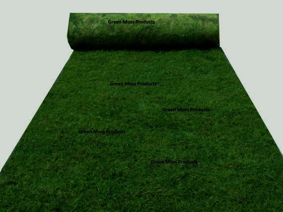 Sheet Moss, Natural Green