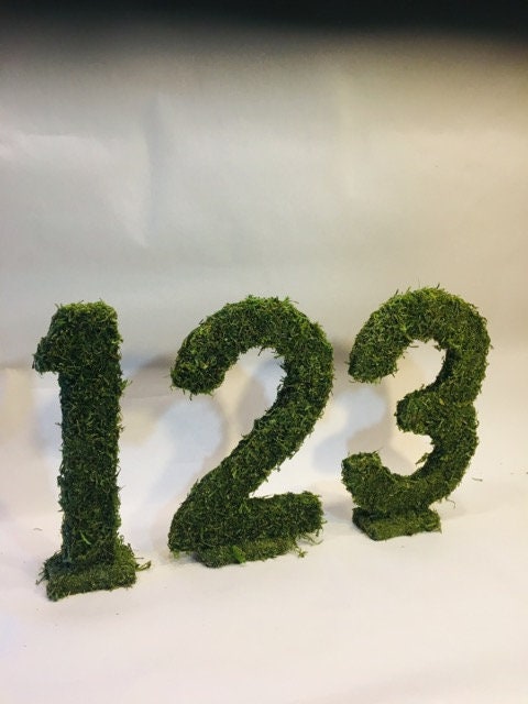 Sheet moss runner placemats 10- 14X14 escort table numbers