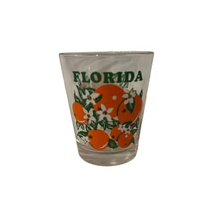 Vintage Florida Collectible Souvenir Schnapsglas, Orange Fruit Flowers Barware