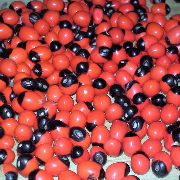 100 Rosary Red Pea Gunja Seeds crafting beads No Holes Chanoti Coral beads vine Free shipping Best price Chirmi Lucky Crab's eye