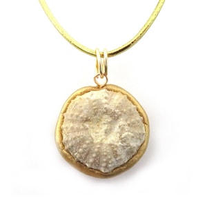 May include: A gold-toned necklace featuring a pendant with a natural, textured, off-white sea urchin design. The pendant is encased in a gold-colored frame and hangs from a delicate, gold chain. The necklace is set against a white background.