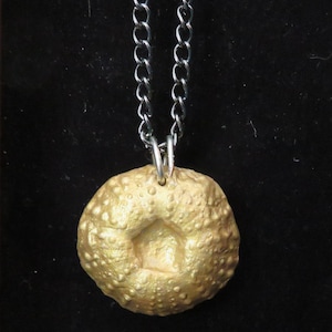 Fossil Pendant Echinoid Fossil Jewelry