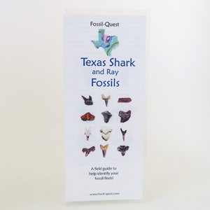Texas Fossil Sharks Laminated Field Guide