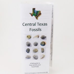 Texas Fossil Guide - Central Texas Cretaceous Fossils