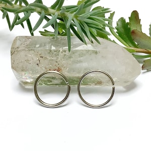 Anillo de titanio para perforación de nariz, 0,8 mm/20 g, fosa nasal, lóbulo, tabique nasal, hélix, caracola, oreja, lóbulo superior, daith, trago, cartílago