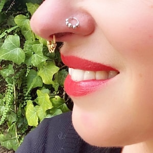 Page not found  Nose piercing hoop, Nose piercing jewelry, Cute nose  piercings