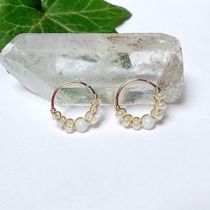 Anello in madreperla placcato oro/acciaio ch 0,6 mm/22 g 0,8 mm/20 g anello elicoidale conchiglia naso narice lobo dell'orecchio cartilagine torre trago daith creolo