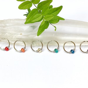 Piercing aus Chirurgenstahl oder Titan oder vergoldet, Einheit oder Set LGBT, Helixring, Muschel, Nase, Nasenloch, Ohr, Daith, Ohrläppchen, Knorpel