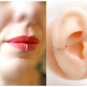 Può includere: Un sottile anello circolare in metallo mostrato in due applicazioni: un anello color argento posizionato su un labbro inferiore e un anello color oro posizionato sulla cartilagine esterna di un modello di orecchio. Gli anelli sono lisci.