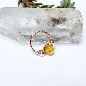 Piercing plaqué or et ambre, 22g 20g 18g, anneau hélix conch nez narine nostril septum daith rook tragus lobe oreille cartilage créole