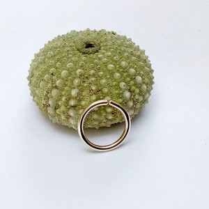 Piercing anneau plaqué or, 1,2 mm / gauge 16, anneau de nez, hélix, conch, septum, cartilage, oreille, minimaliste, sur mesure, bohème
