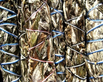 MUGWORT Smudge Bundle (Wild/Organic) DREAM Sage, Purify-PROTECT, (4-5"), Wormwood. Blessing sage Sacred Altar