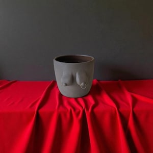 May include: A gray ceramic planter with a unique design featuring two breast-shaped protrusions and a gold-colored ring. The interior is dark brown. The planter sits on a red fabric against a dark gray background.
