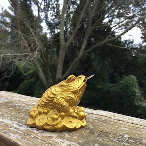 May include: A gold frog figurine sitting on a pile of gold coins. The frog has red eyes and is holding a coin in its mouth.