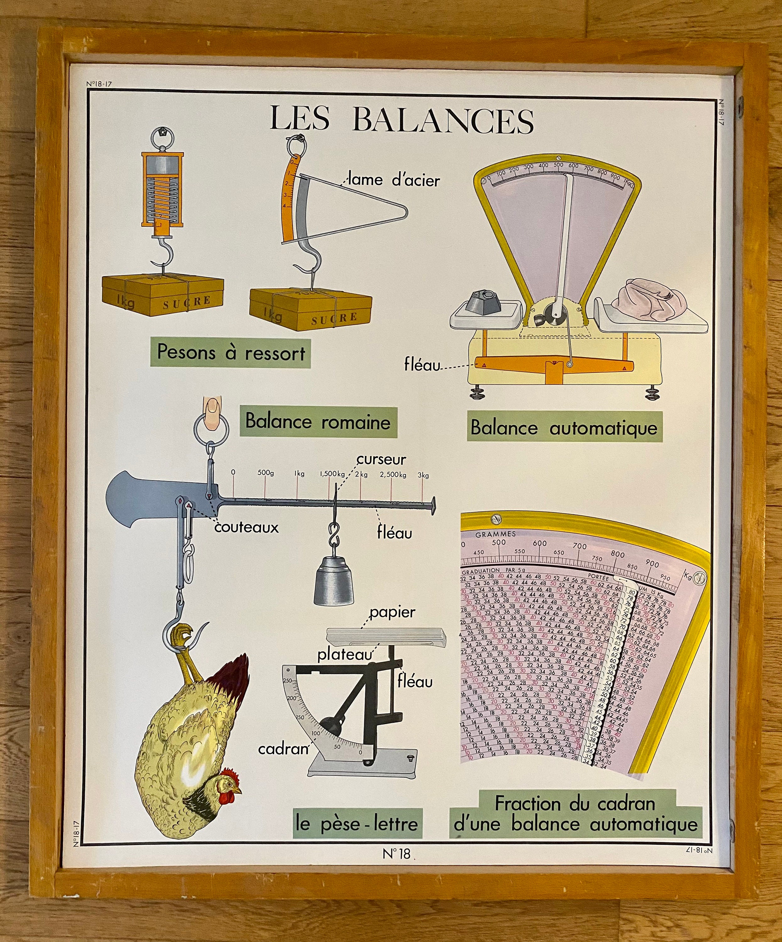 Anciennes Cartes de Sciences Double Face - L'eau Dans La Nature/Les Balances Affiche Scolaire d'écol