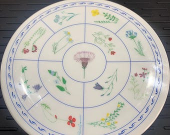 Vintage Design Imports Botanical Print Trivet Made In Italy Melamine Rare