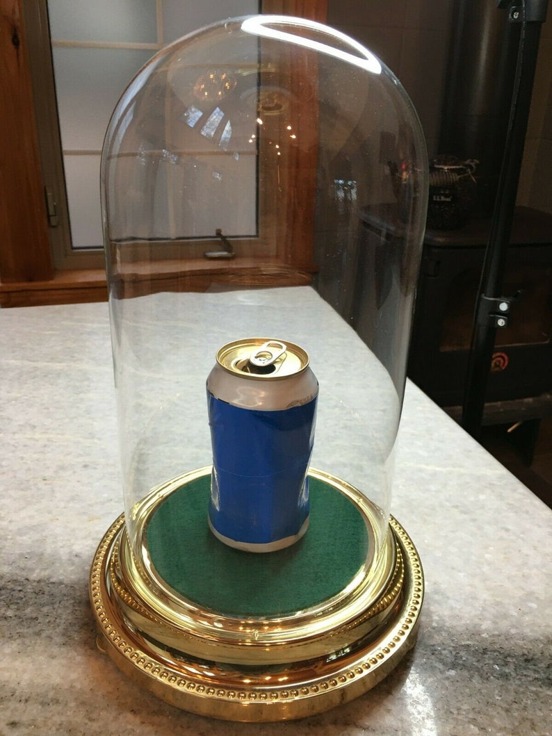 Extra Large Glass Dome Bell Jar/cloche Specimen Display Case Etsy