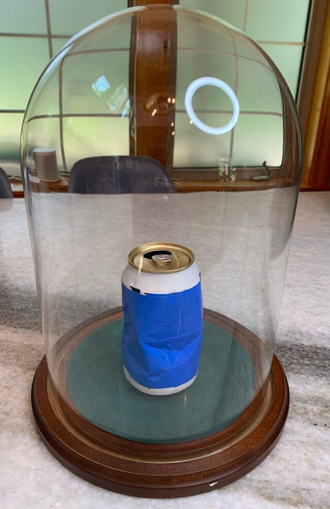 Extra Large Glass Dome Bell Jar/cloche Specimen Display W/wooden Base