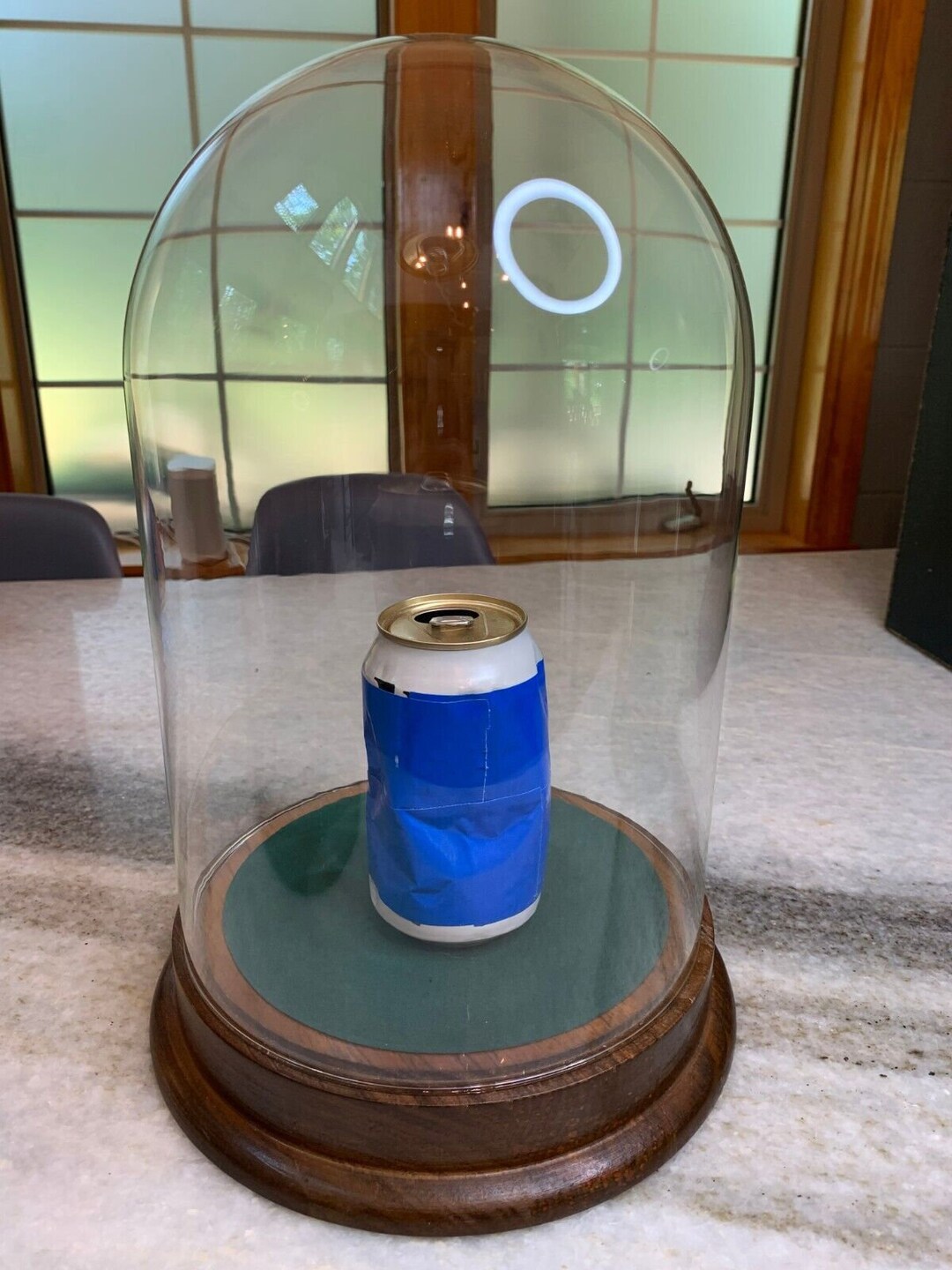 Extra Large Glass Dome Bell Jar/cloche Specimen Display W/wooden Base