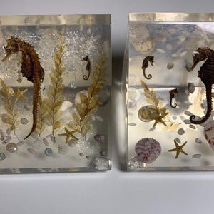 May include: Two clear acrylic bookends with a seahorse and seashells inside. The bookends are filled with a clear resin and have a variety of seashells, seahorses, and seaweed.