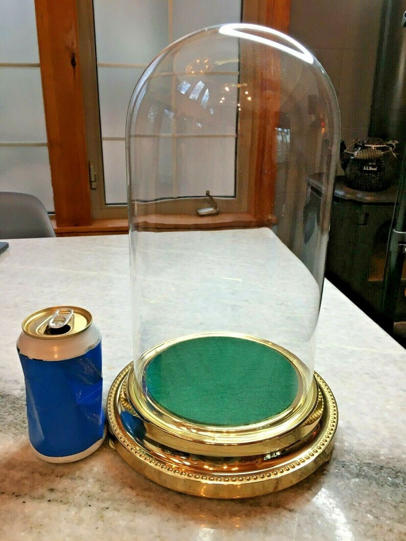 Extra Large Glass Dome Bell Jar/cloche Specimen Display Case Etsy