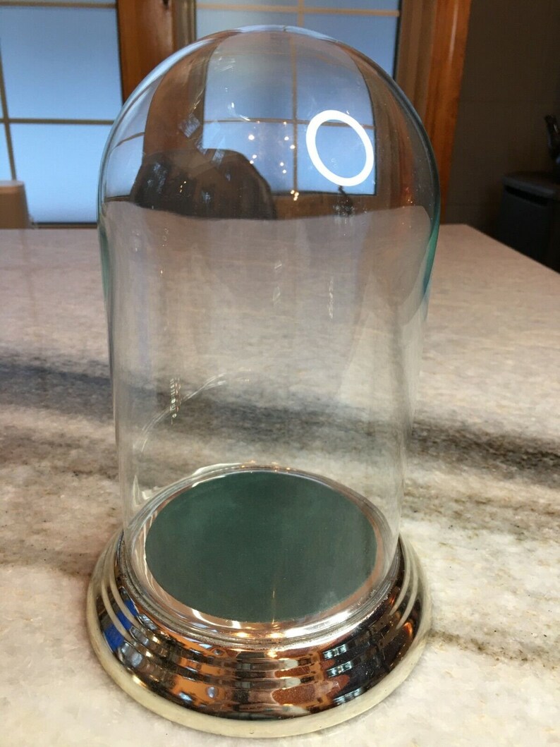 Glass Dome Bell Jar/cloche Specimen Silverchrome Display Case Etsy