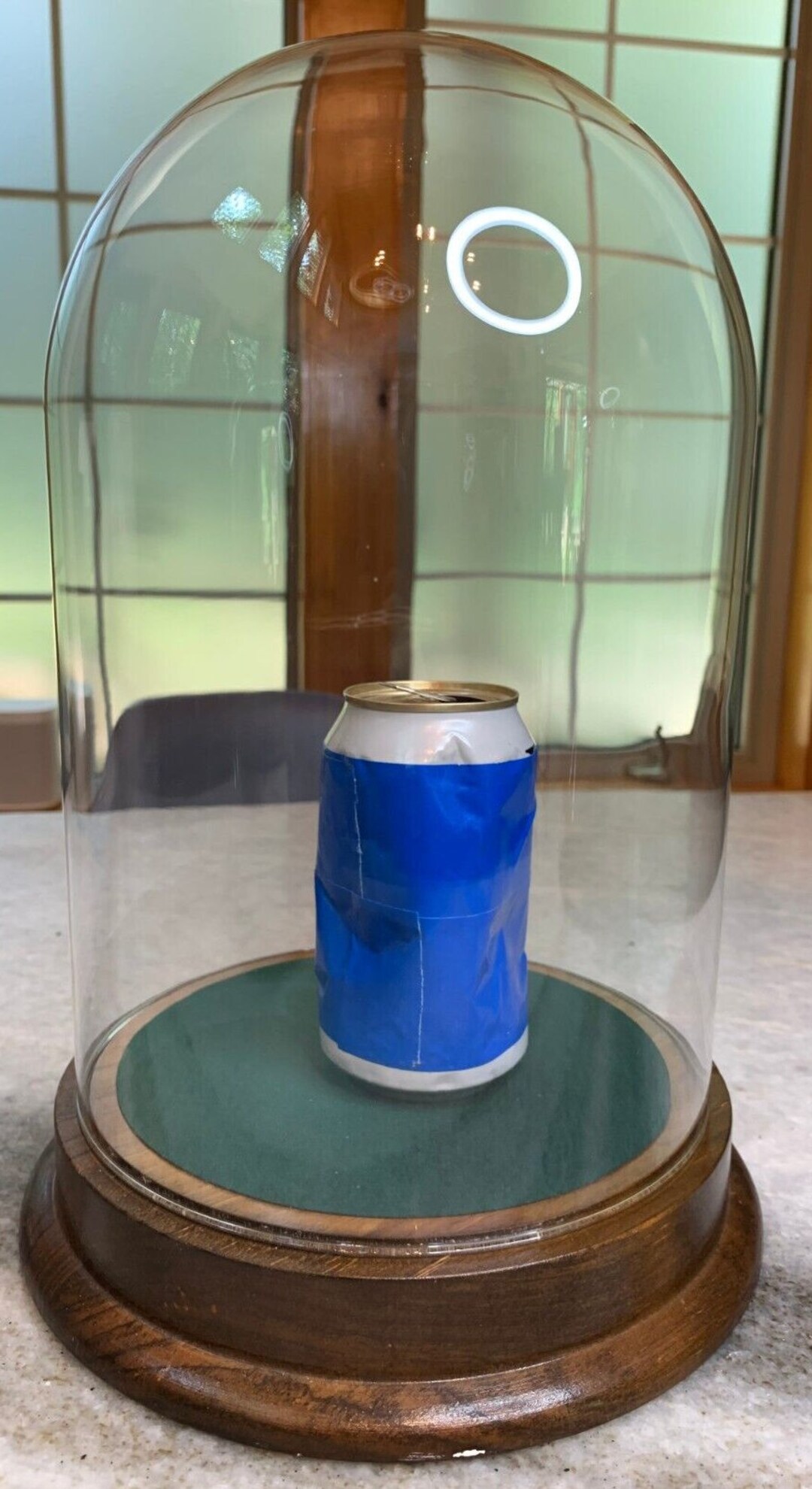 Extra Large Glass Dome Bell Jar/cloche Specimen Display Etsy