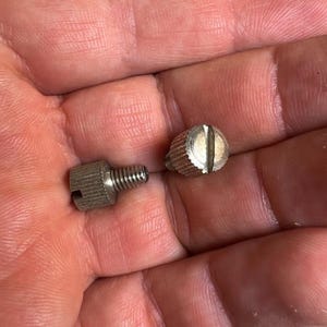 May include: Two small, silver-colored screws with slotted heads and threaded shafts. One screw is fully assembled, while the other is disassembled. The screws are held in a hand, suggesting a hardware or repair context.