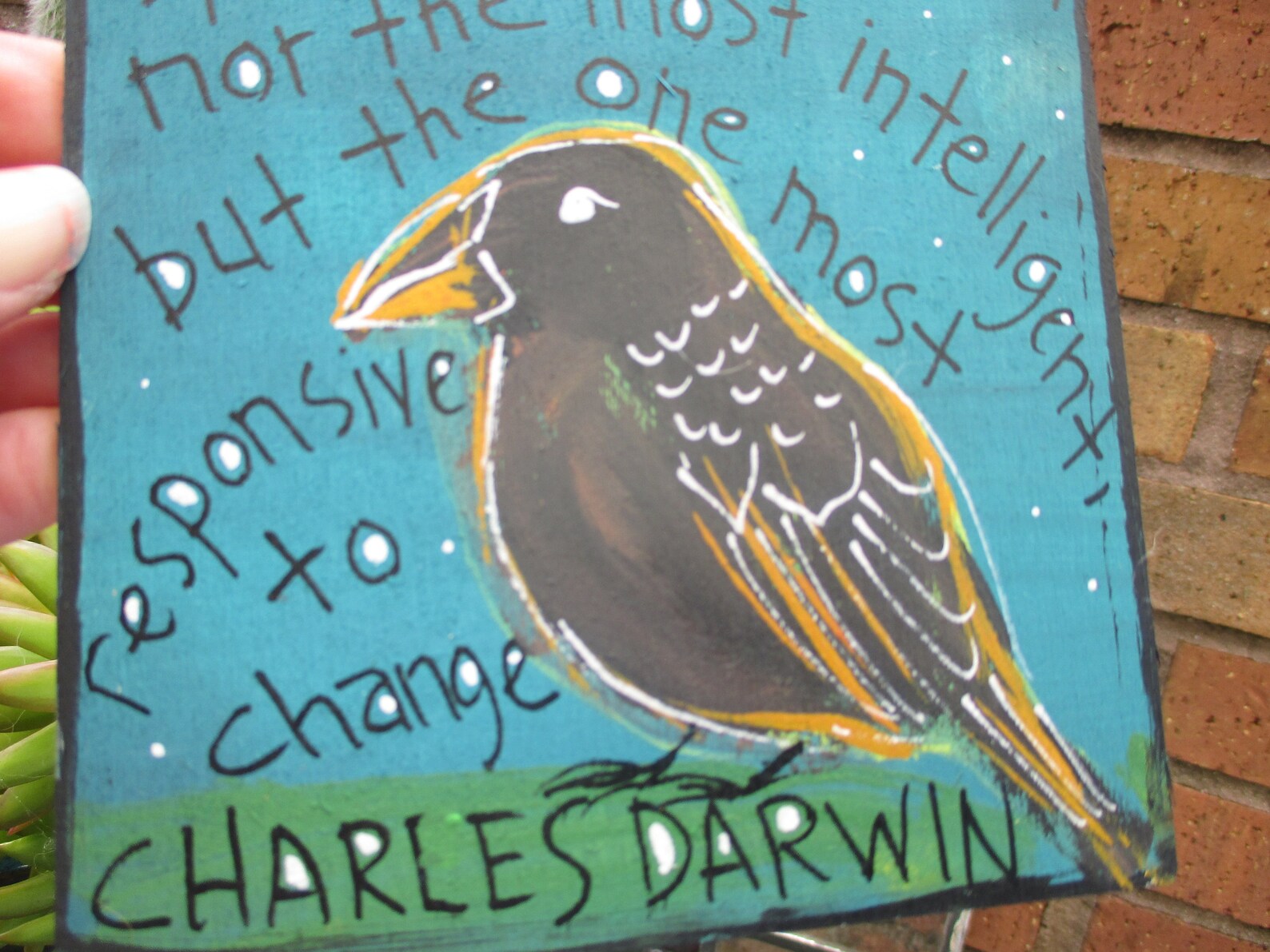 Charles Darwin cite la peinture sur panneau de bois de 7 Charles Darwin cite la peinture sur panneau de bois de 7