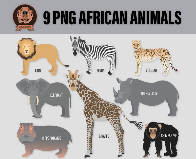 Wild Animals of Africa Clipart Digital Png Illustrations Elephant, Giraffe, Chimpanzee, Zebra, Hippopotamus, Rhinoceros, Lion, Cheetah image 2